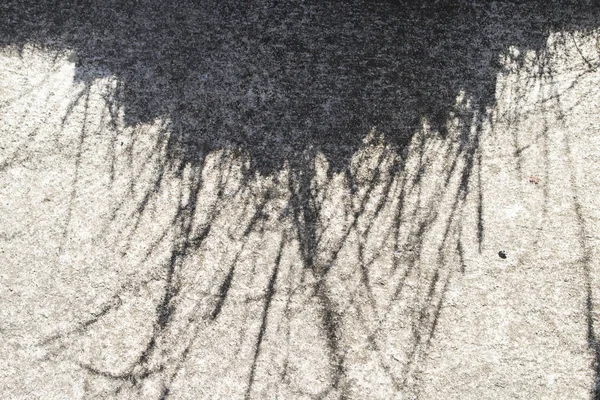 Фон Текстуры Цемента Поверхности Имеют Тень Пол Концепция Света Тени — стоковое фото