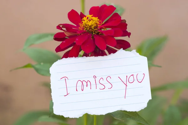 i miss you message card handwriting with colorful flower