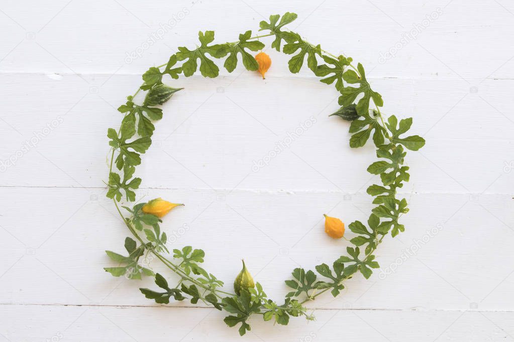 background nature leaf arrangement circle on white