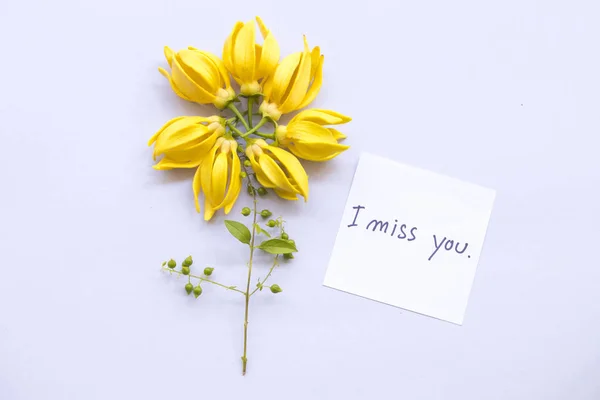 私はあなたを欠場ホワイト バック グラウンドに Ylang Ylang 黄色の花アレンジでカード手書きのメッセージ — ストック写真