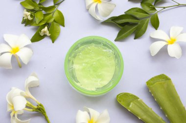 arka plan beyaz yüzünde cilt için aloe vera jel yatıştırıcı bitkisel doğal