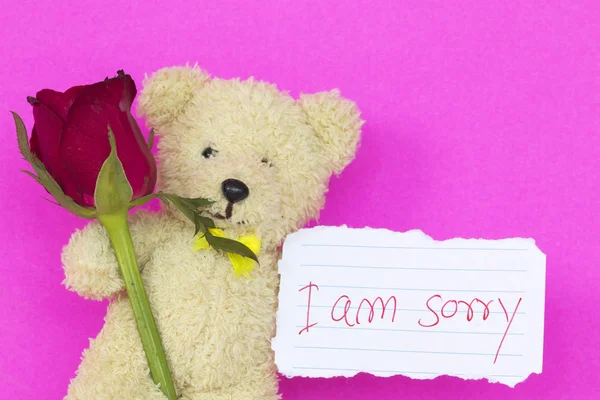 i am sorry message card with teddy bear and red rose flowers on background pink