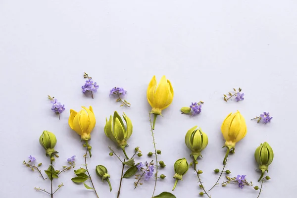 ylang ylang yellow flower and purple flower of asia arrangement on background white