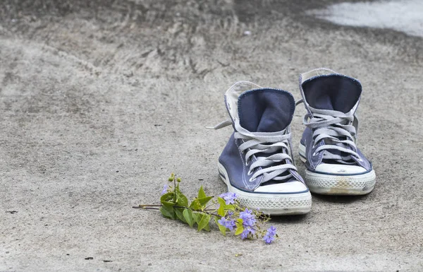 old boots sneakers and purple flowers on background cement floors