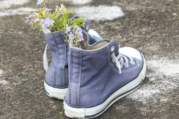 old boots sneakers and purple flowers on background cement floors