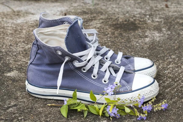 old boots sneakers and purple flowers on background cement floors