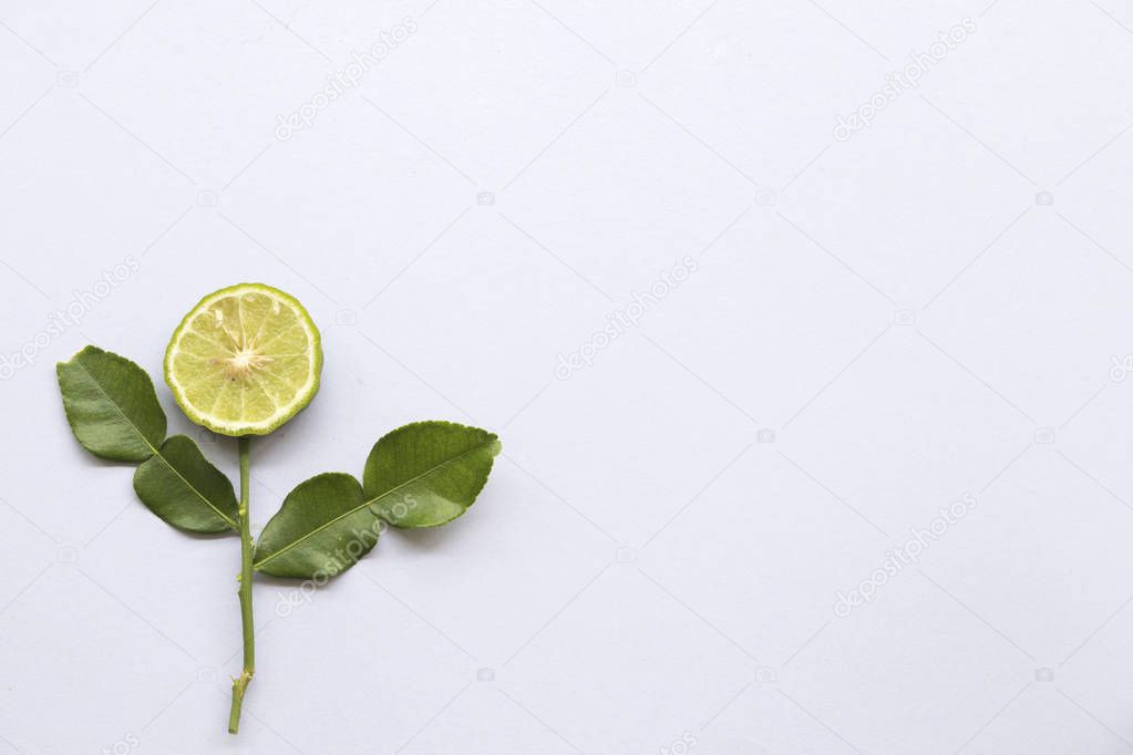 kaffir lime slice herbal local flora of asia thailand arrangement on background white