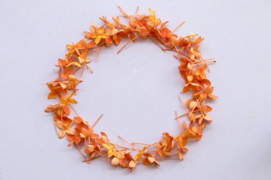 portakal çiçekleri Asya düzenleme daire stili arka plan beyaz florası spike