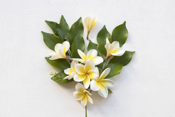 Blanc Jaune Fleur Frangipani Flore Locale Arrangement Asie Sur Fond — Photo