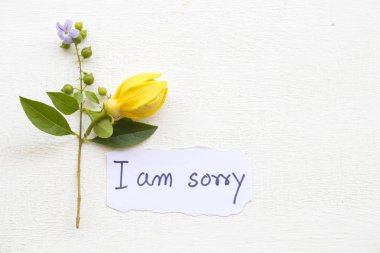 Im'üzgün mesaj kart el yazısı beyaz arka plan üzerinde ylang ylang sarı çiçekli