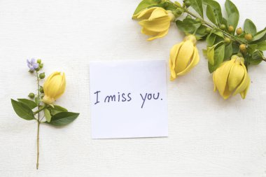 Ben seni mesaj beyaz arka plan üzerinde ylang ylang sarı çiçekli kart el yazısı