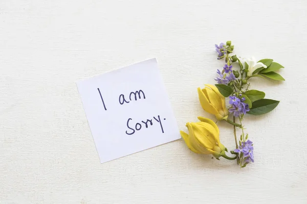 Jsem Omlouvám Zpráva Kartu Rukopisu Ylang Ylang Žluté Květy Bílém — Stock fotografie