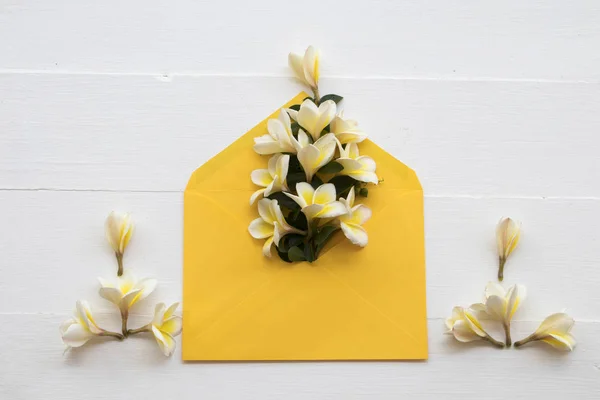 Frangipani Bloemen Lokale Van Azië Regeling Envelop Achtergrond Wit Houten — Stockfoto