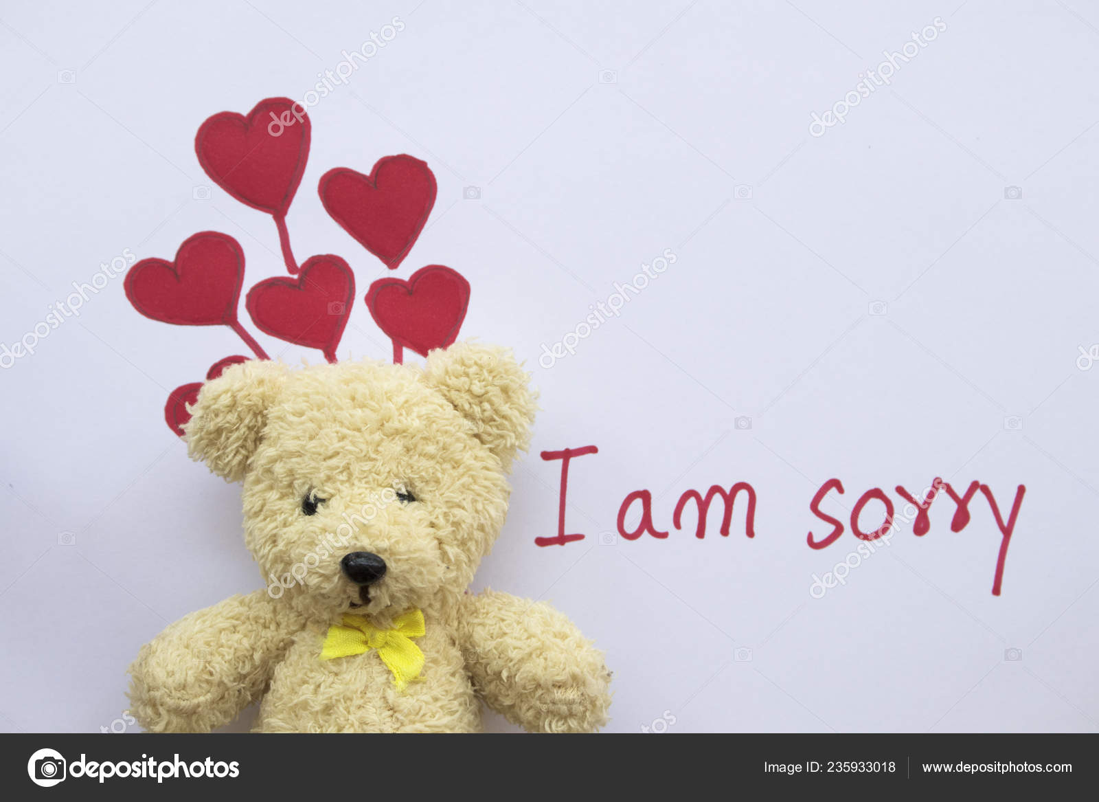 i am sorry teddy