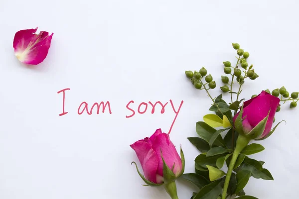 Tut Mir Leid Nachricht Karte Handschrift Und Rosa Rose Blumen — Stockfoto