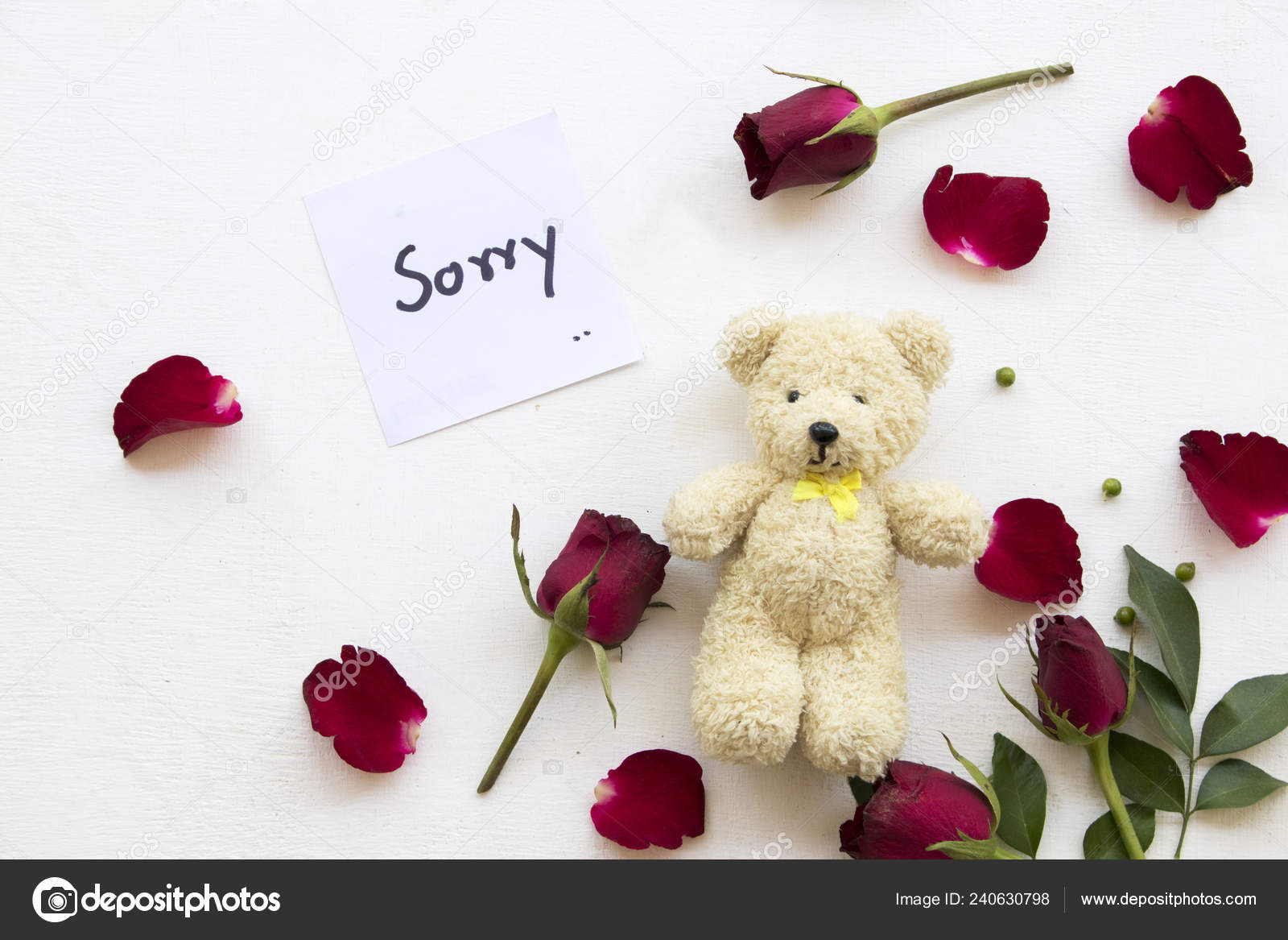 sorry for teddy bear