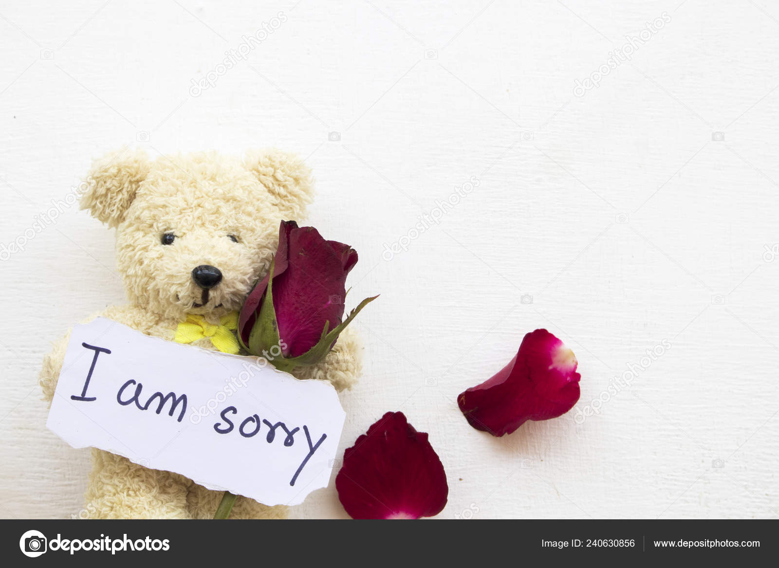 sorry for teddy bear