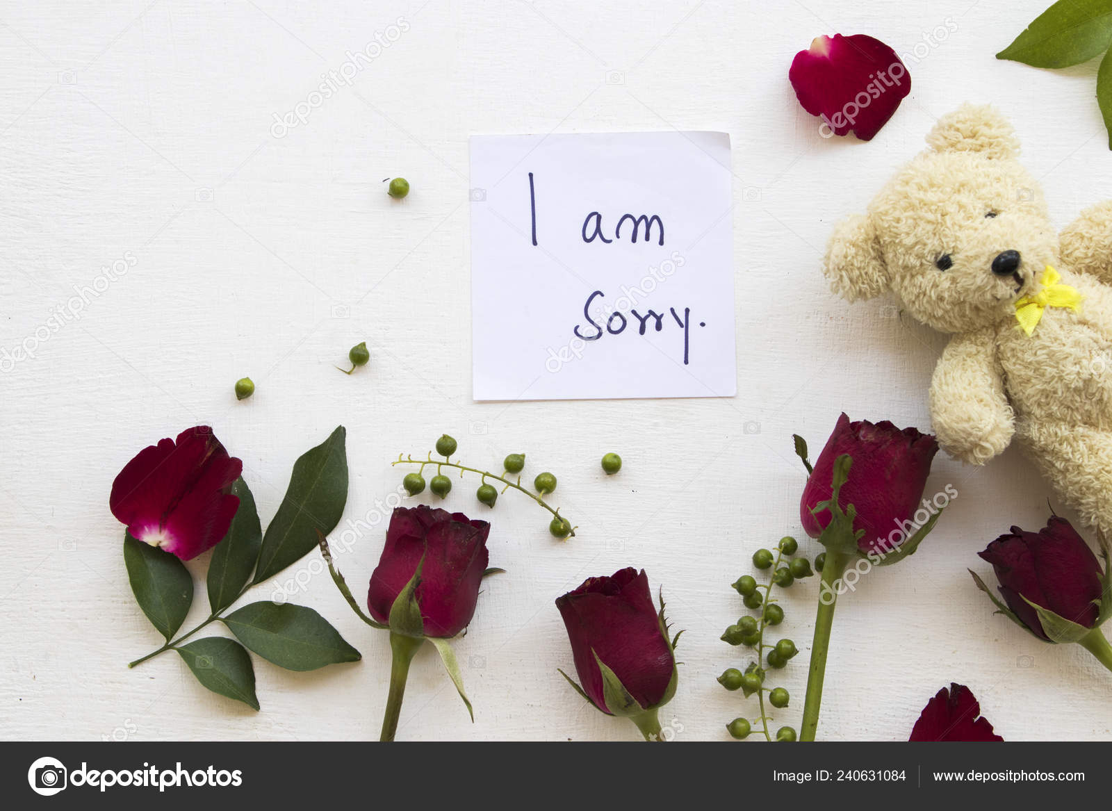 i am sorry teddy