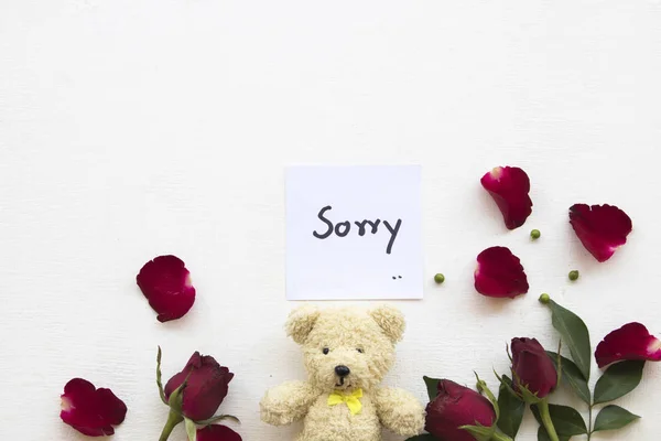 Sorry Message Card Handwriting Red Rose Flowers Teddy Bear Decoration —  Fotos de Stock