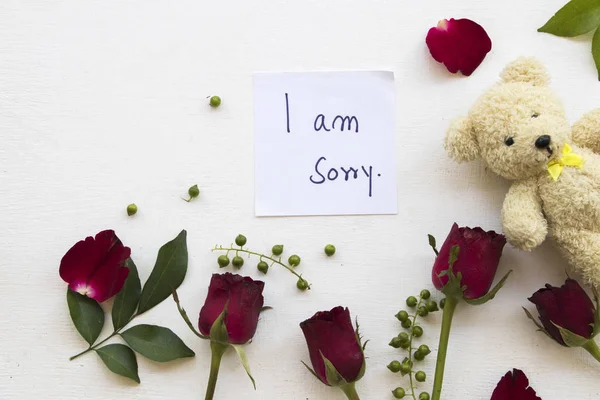 Sorry Message Card Handwriting Red Rose Flowers Teddy Bear Decoration —  Fotos de Stock