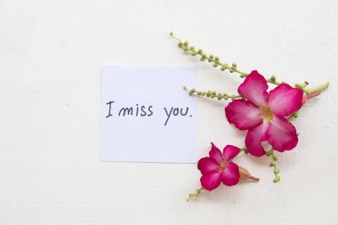 Ben seni mesaj kart el yazısı ile pembe çiçek dekorasyon düz beyaz arka plan üzerinde yatıyordu stili 