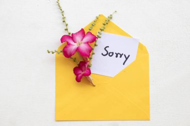 pembe çiçek dekorasyon düz sarı zarf içinde özür mesajı kart el yazısı stili beyaz arka plan üzerinde yatıyordu 