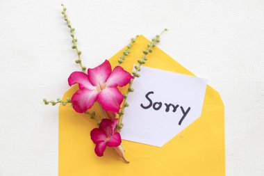 pembe çiçek dekorasyon düz sarı zarf içinde özür mesajı kart el yazısı stili beyaz arka plan üzerinde yatıyordu 