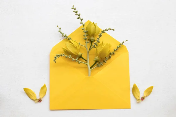 Gele Bloemen Ylang Ylang Lokale Flora Van Azië Decoratie Plat — Stockfoto