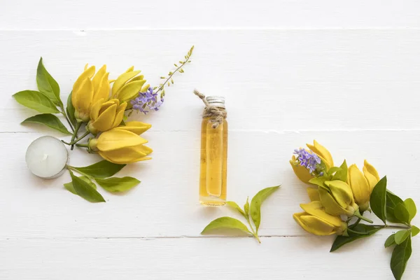 doğal bitkisel yağlar ayıklamak çiçek ylang ylang koku kokular aroma düzenleme düz koymak beyaz arka plan stili 