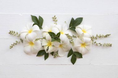 Beyaz, sarı çiçek frangipani yerel flora Asya düzenlemenin düz stil arka plan beyaz tahta üzerinde yatıyordu