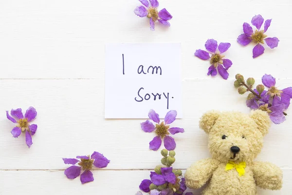 Sorry Message Card Handwriting Teddy Bear Purple Flowers Spring Season —  Fotos de Stock