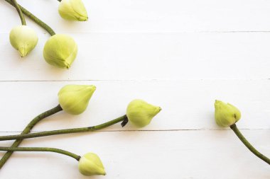 nilüfer çiçekleri asya düzenleme düz döşeme tarzı yerel flora arka plan beyaz ahşap