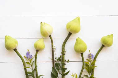 nilüfer çiçekleri asya düzenleme düz döşeme tarzı yerel flora arka plan beyaz ahşap