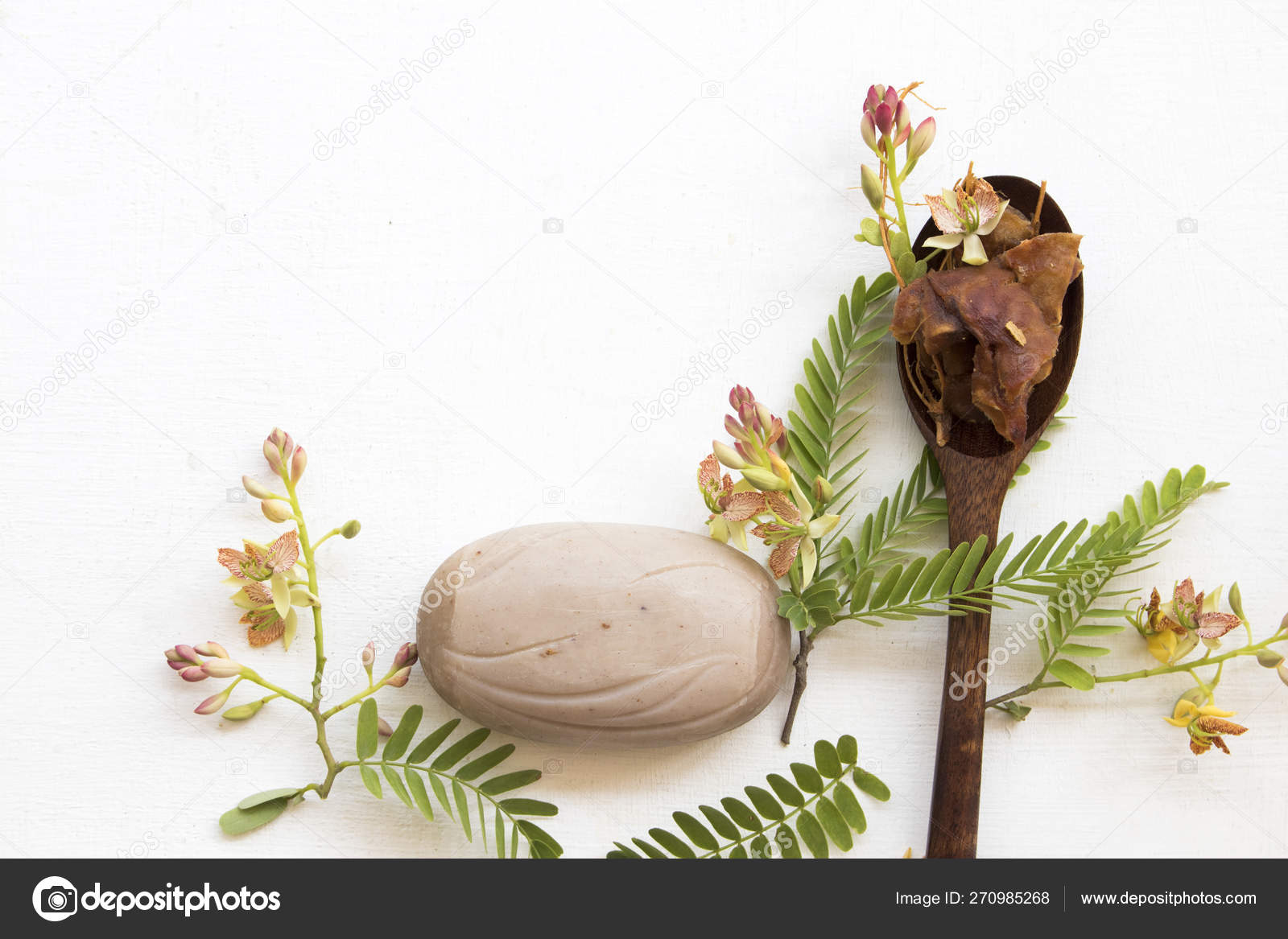 タマリンドの花 背景に葉のアレンジをした美容体肌アロマエッセンスのタマリンドハーブソープヘルスケア ストック写真 C Phenphayom