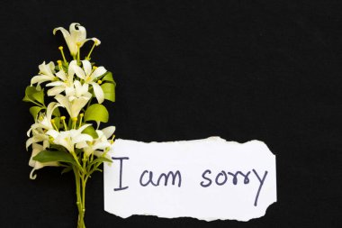 beyaz çiçekler yasemin düzenleme düz arka plan siyah stil yatıyordu ile üzgünüm mesaj kartı el yazısı 