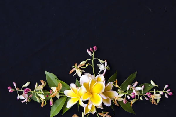 Fleurs Jaunes Frangipani Flore Locale Asie Arrangement Plat Jeter Style — Photo