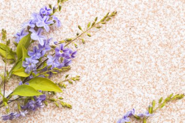 arka plan doku doğa mor çiçek aranjman düz döşeme tarzı kiremit 