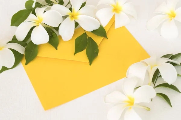 Witte Bloemen Frangipani Lokale Flora Van Azië Gele Envelop Regeling — Stockfoto