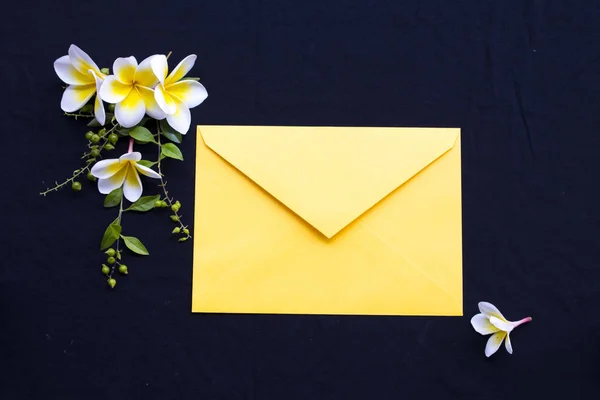 Gele Bloemen Frangipani Lokale Flora Van Azië Met Gele Envelop — Stockfoto