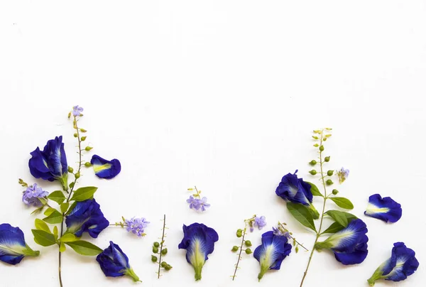 Azul Flores Mariposa Guisante Local Flora Asia Arreglo Plano Laico —  Fotos de Stock
