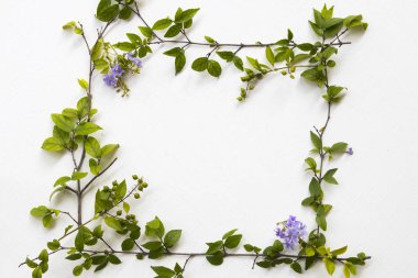 mor çiçekler ve arka plan beyaz yaprak düzenleme kare kartpostal tarzı 