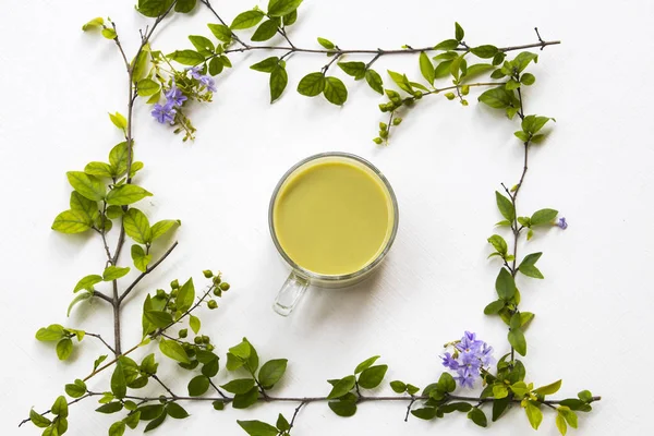 Herbal Healthy Drinks Hot Green Tea Milks Health Care Leaf — Stock Photo, Image