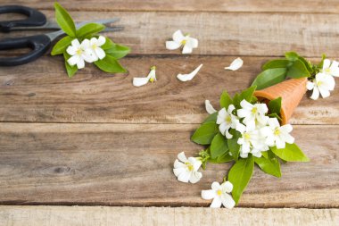 beyaz çiçekler asya yasemin yerel flora koni ve makas düzenleme düz arka plan ahşap kartpostal tarzı yatıyordu