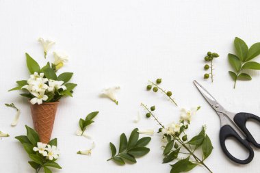 beyaz çiçekler koni ve makas düzenleme asya yasemin yerel flora arka plan ahşap beyaz kartpostal tarzı yatıyordu