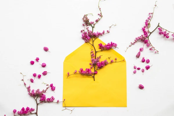 Kleurrijke Roze Kleine Bloemen Antigonon Leptopus Klimmer Lokale Flora Met — Stockfoto