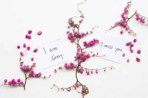Sajnálom Hiányzol Üzenetet Kártyát Kézírás Színes Kis Virágot Elrendezése Lakás — Stock Fotó
