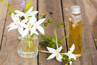 bitkisel uçucu yağlar aromaterapi özü çiçekler arka plan ahşap üzerinde yaşam tarzı gevşeme dekorasyon asya horoz ağacı yerel flora