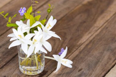 beyaz çiçekler horoz ağacı asya düzenleme düz arka plan ahşap kartpostal tarzı yatıyordu yerel flora