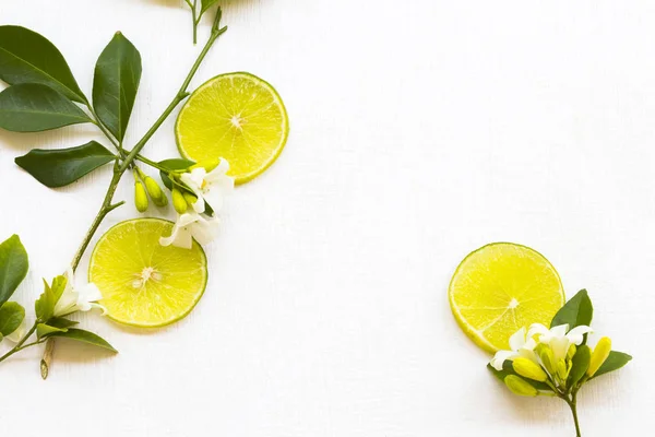Pengaturan Lemon Sayuran Herbal Susunan Kartu Pos Lay Datar Pada — Stok Foto