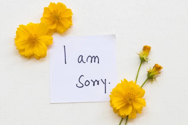Tut Mir Leid Nachricht Karte Handschrift Mit Gelben Blumen Kosmos — Stockfoto